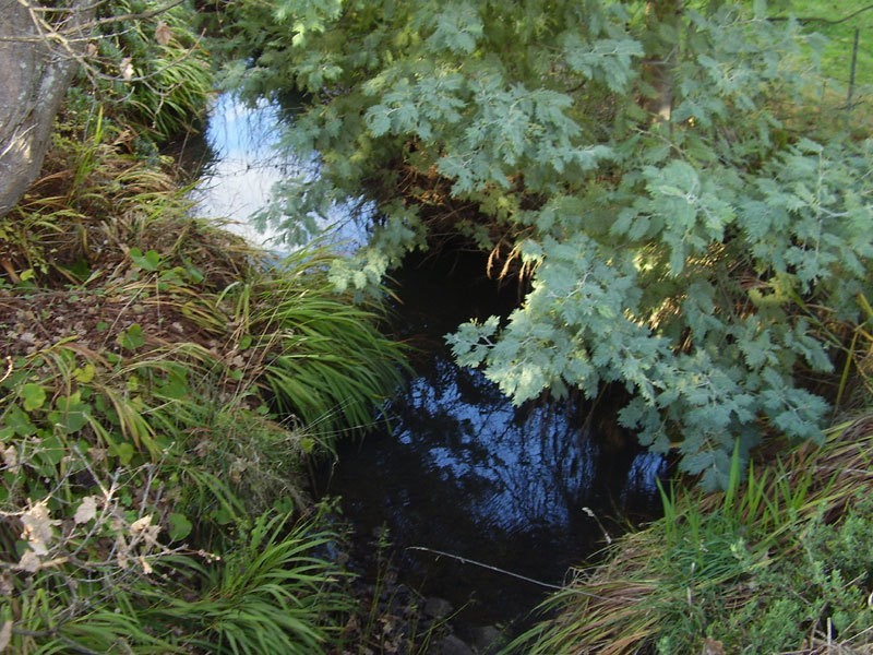 Lot 1 Reeves Lane, Dover TAS 7117