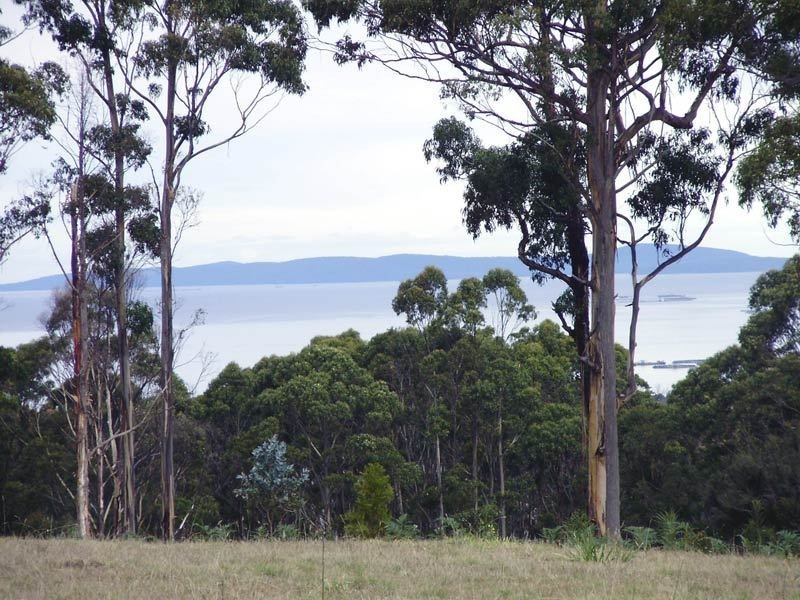 49 Wills Road, Abels Bay TAS 7112
