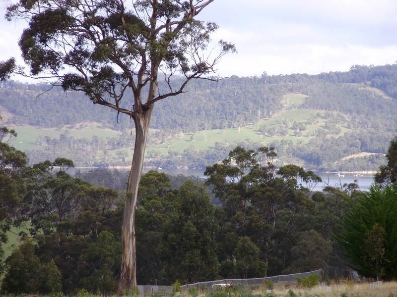 49 Wills Road, Abels Bay TAS 7112