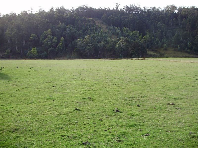 1009 Woodbridge Hill Road, Gardners Bay TAS 7112