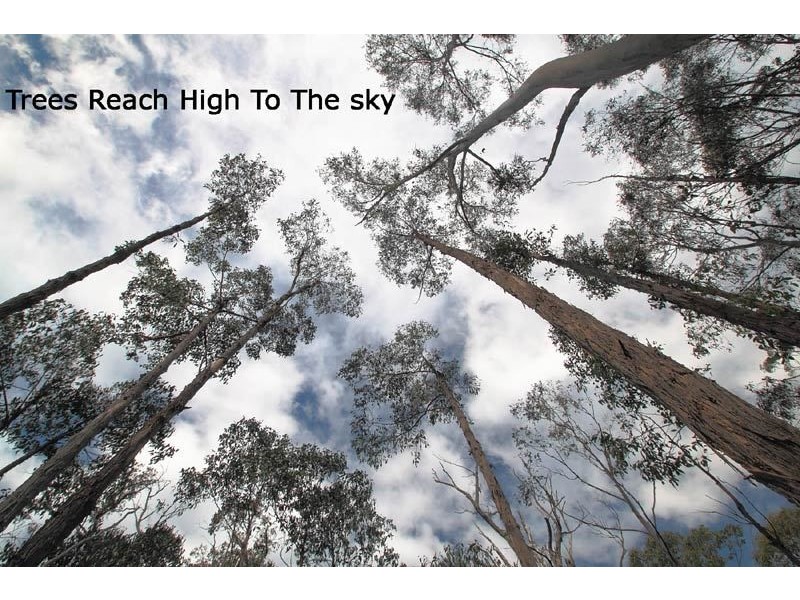 540 North Huon Road, Ranelagh TAS 7109