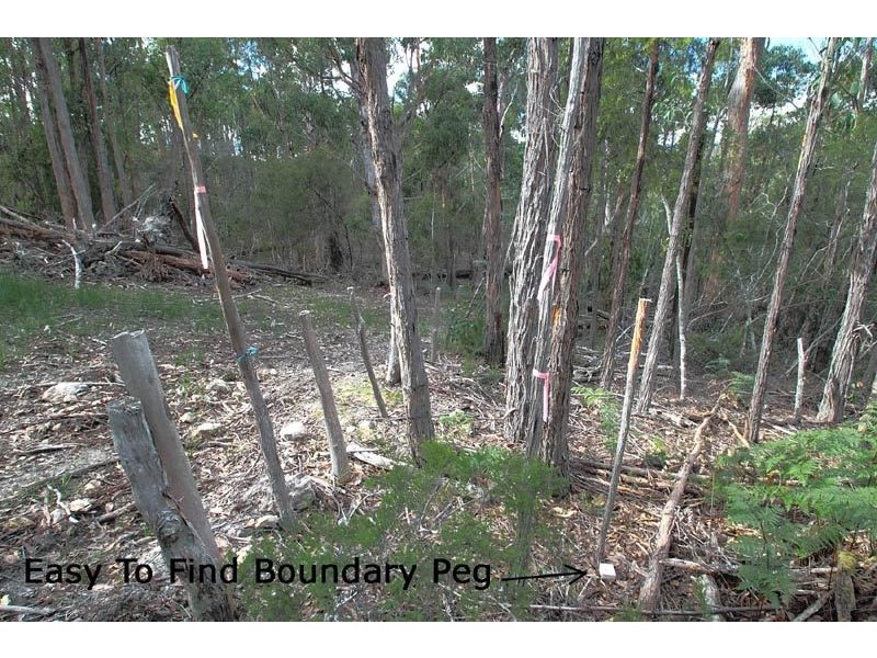 540 North Huon Road, Ranelagh TAS 7109