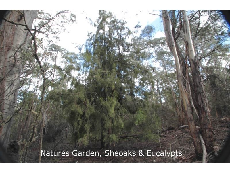 540 North Huon Road, Ranelagh TAS 7109