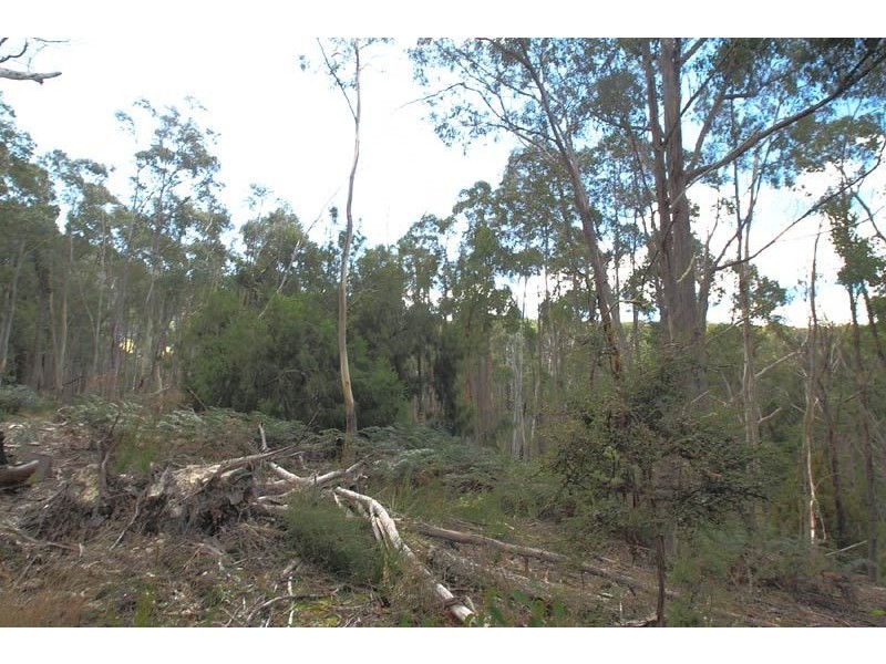 540 North Huon Road, Ranelagh TAS 7109