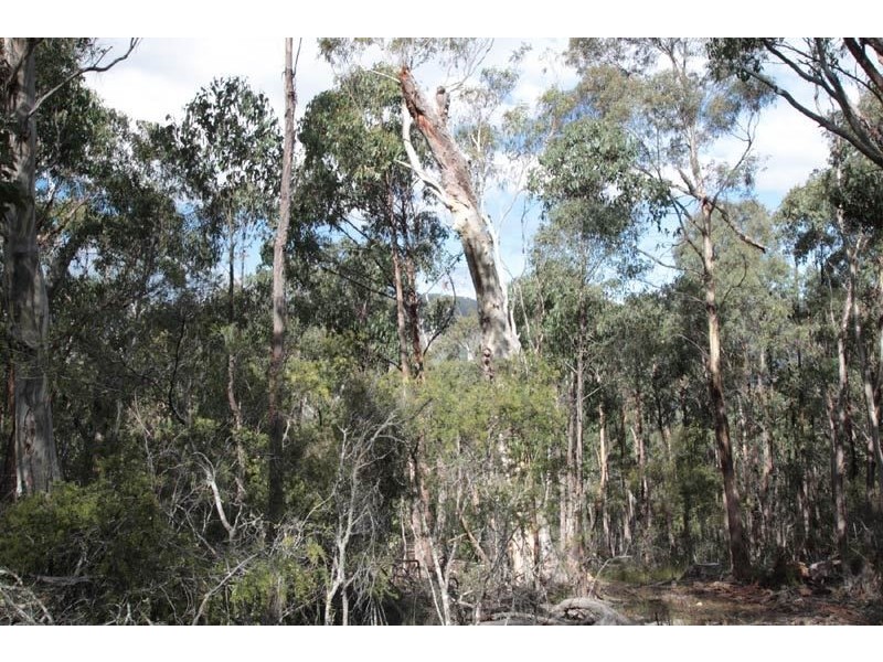 540 North Huon Road, Ranelagh TAS 7109