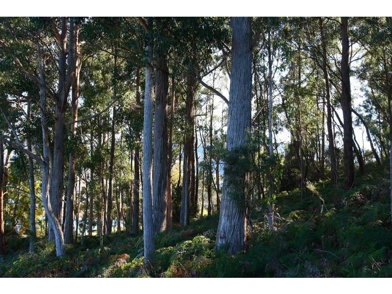 Lot 3 Cygnet Coast Road, Cradoc TAS 7109