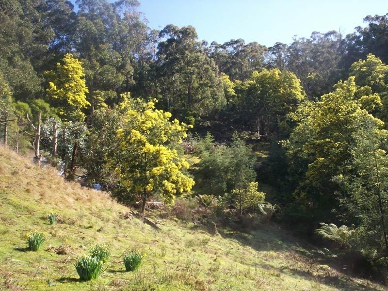 188 Bermuda Road, Glen Huon TAS 7109