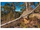 30 Swifts Road, Surges Bay TAS 7116