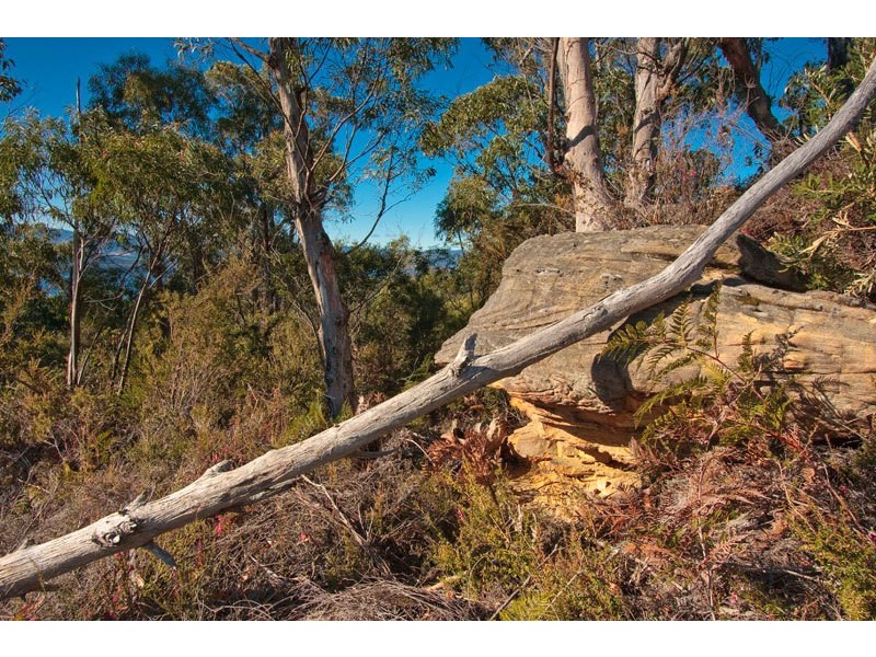30 Swifts Road, Surges Bay TAS 7116