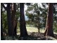 Lot 3 Lightwood Creek Road, Glen Huon TAS 7109