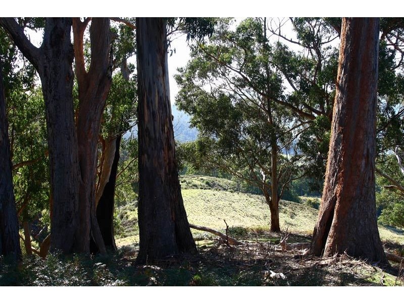 Lot 3 Lightwood Creek Road, Glen Huon TAS 7109