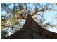 Lot 3 Lightwood Creek Road, Glen Huon TAS 7109