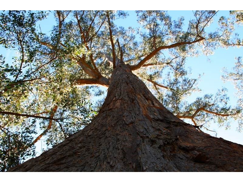 Lot 3 Lightwood Creek Road, Glen Huon TAS 7109