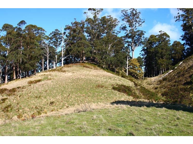 Lot 3 Lightwood Creek Road, Glen Huon TAS 7109