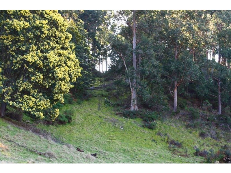 Lot 3 Lightwood Creek Road, Glen Huon TAS 7109