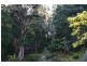 Lot 3 Lightwood Creek Road, Glen Huon TAS 7109