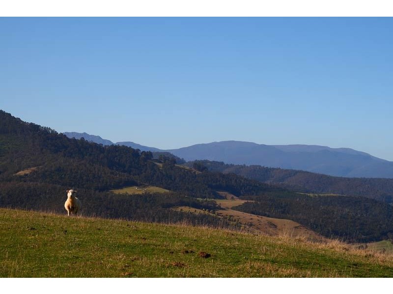 Lot 4 Lightwood Creek Road, Glen Huon TAS 7109