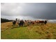Lot 4 Lightwood Creek Road, Glen Huon TAS 7109