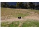 Lot 4 Lightwood Creek Road, Glen Huon TAS 7109