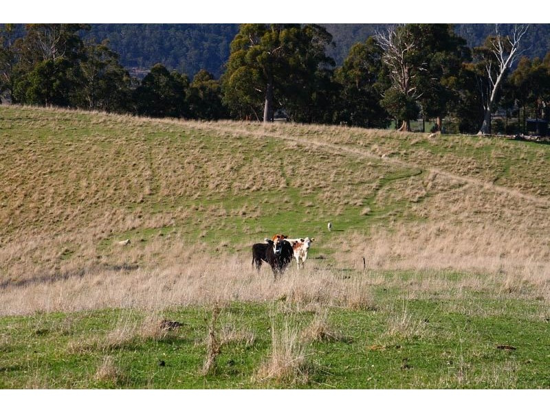 Lot 4 Lightwood Creek Road, Glen Huon TAS 7109
