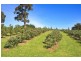 609 Silver Hill Road, Wattle Grove TAS 7109