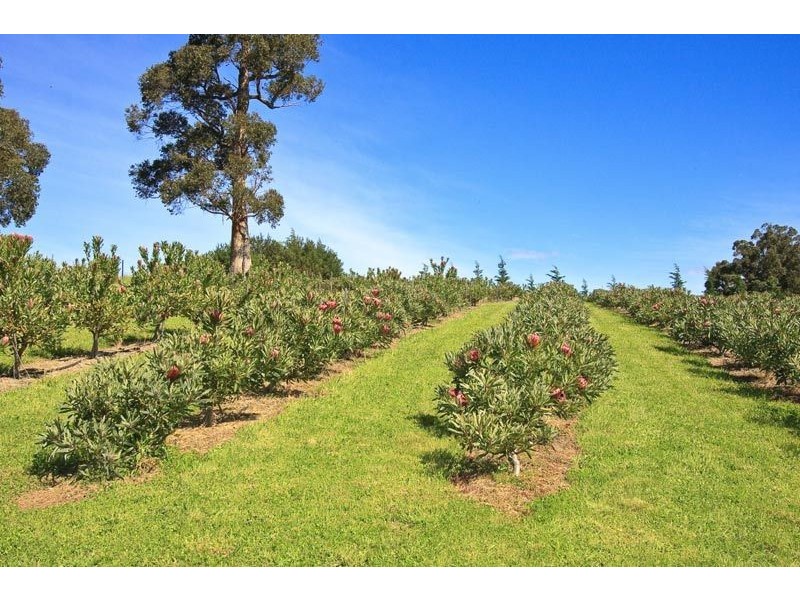 609 Silver Hill Road, Wattle Grove TAS 7109