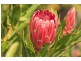 609 Silver Hill Road, Wattle Grove TAS 7109