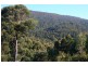 32 Moss Beds Road, Mountain River TAS 7109