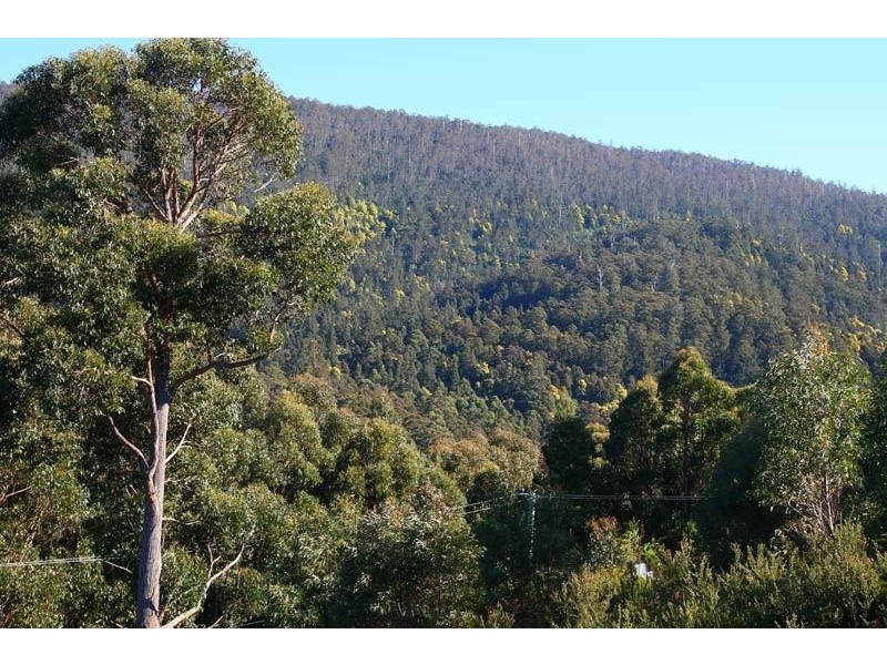 32 Moss Beds Road, Mountain River TAS 7109