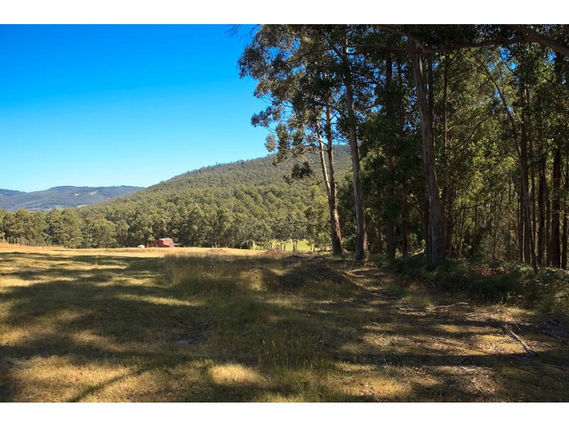 1763  Pelverata Road, Woodstock TAS 7109