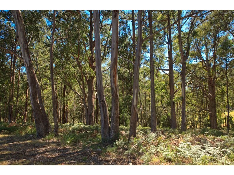 1763  Pelverata Road, Woodstock TAS 7109