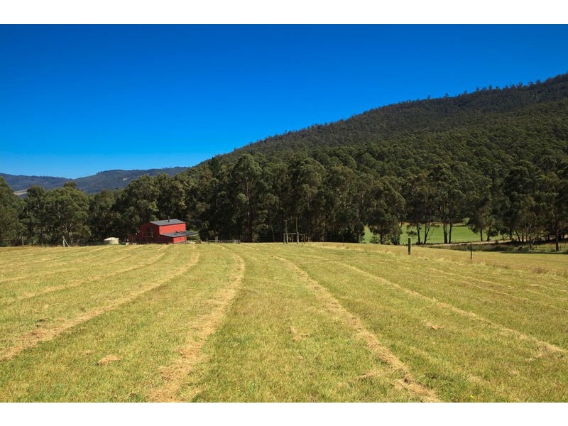 1763  Pelverata Road, Woodstock TAS 7109