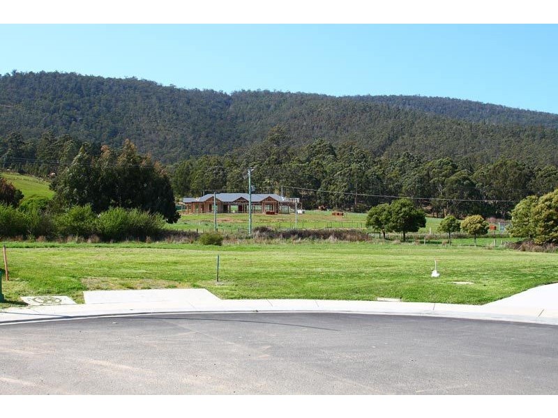 20 Ellison Street, Huonville TAS 7109