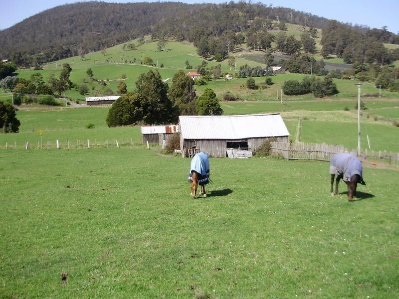 RA Woodcock Road, Cygnet TAS 7112