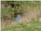RA Woodcock Road, Cygnet TAS 7112