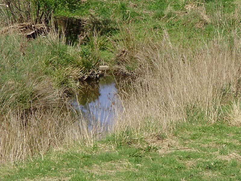 RA Woodcock Road, Cygnet TAS 7112