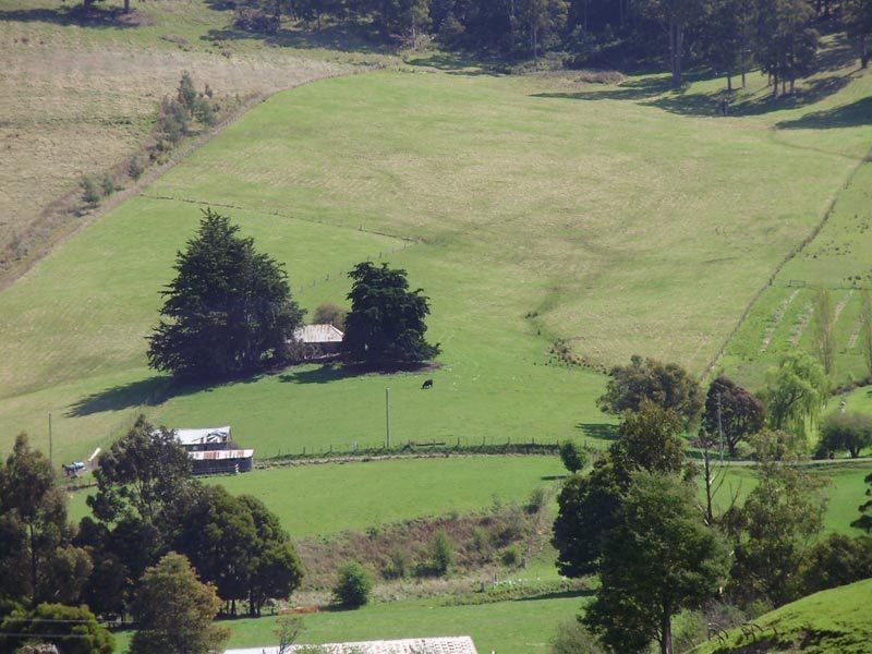 RA Woodcock Road, Cygnet TAS 7112