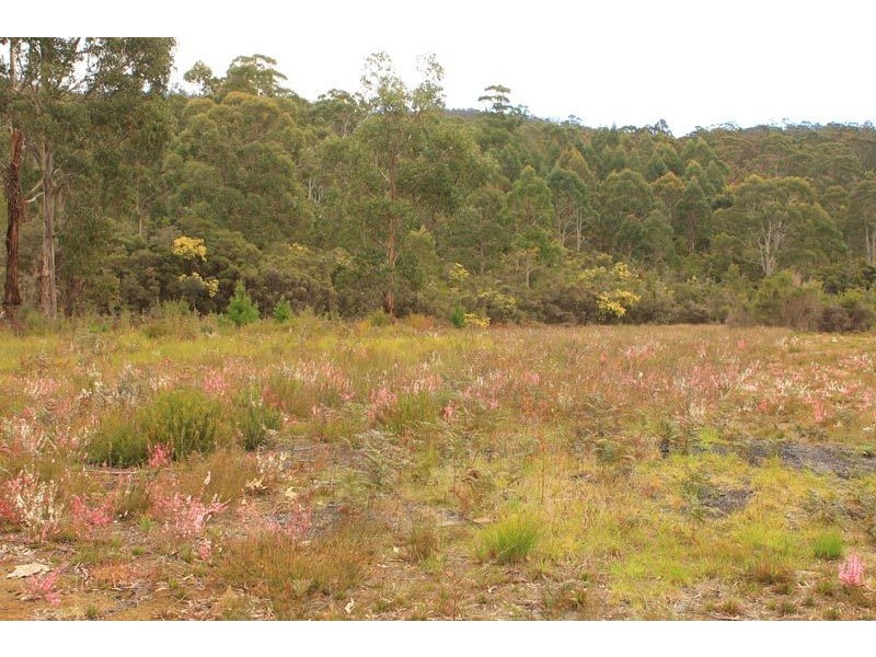 169 Kent Beach Road, Dover TAS 7117