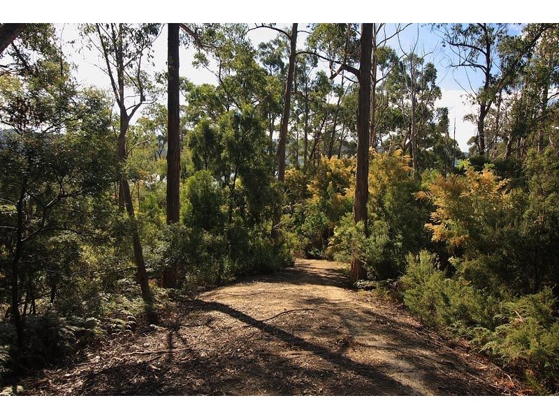 RA Dillons Hill Road, Glaziers Bay TAS 7109