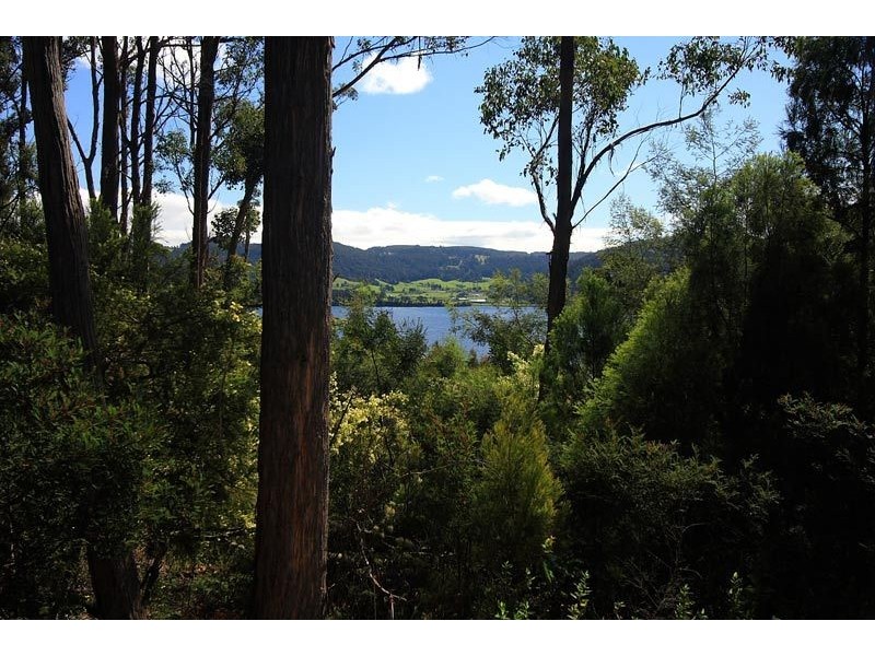 RA Dillons Hill Road, Glaziers Bay TAS 7109