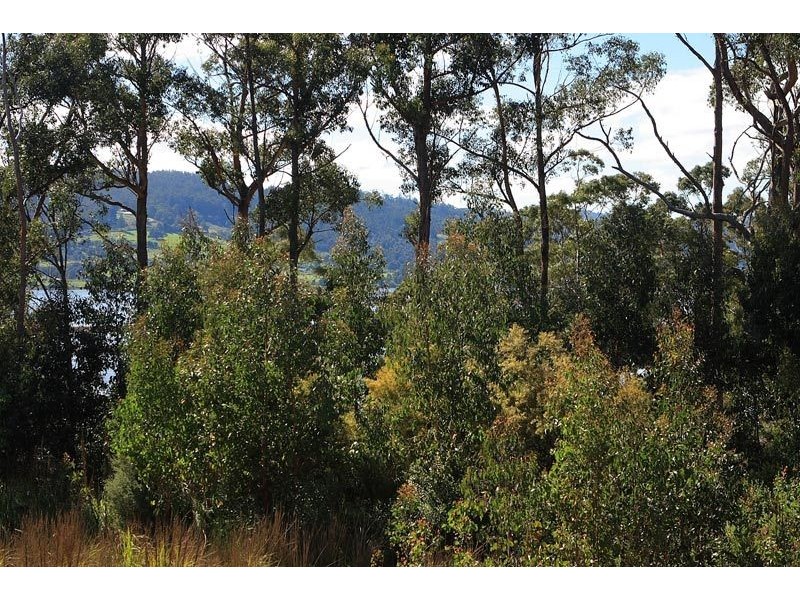 RA Dillons Hill Road, Glaziers Bay TAS 7109