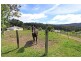 65 Watsons Road, Glen Huon TAS 7109