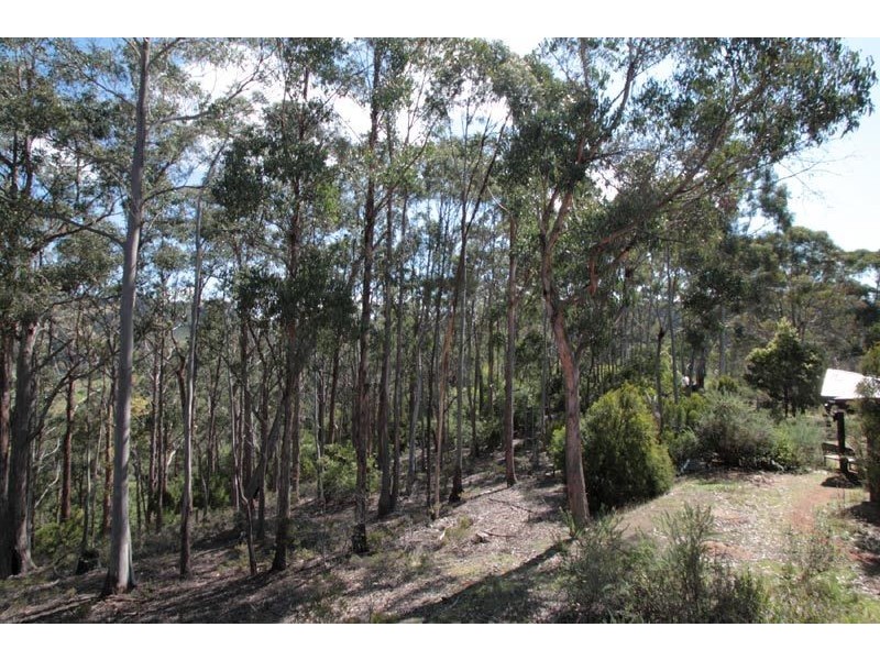 209 Silver Hill Road, Cygnet TAS 7112