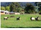 160 Lucaston Road, Lucaston TAS 7109