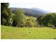 160 Lucaston Road, Lucaston TAS 7109