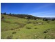 Lot 4 Wattle Grove Road, Wattle Grove TAS 7109