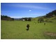 Lot 4 Wattle Grove Road, Wattle Grove TAS 7109