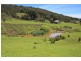 Lot 4 Wattle Grove Road, Wattle Grove TAS 7109