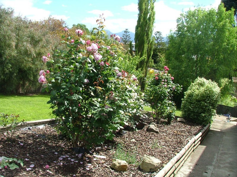 8 Scenic Hill Road, Huonville TAS 7109