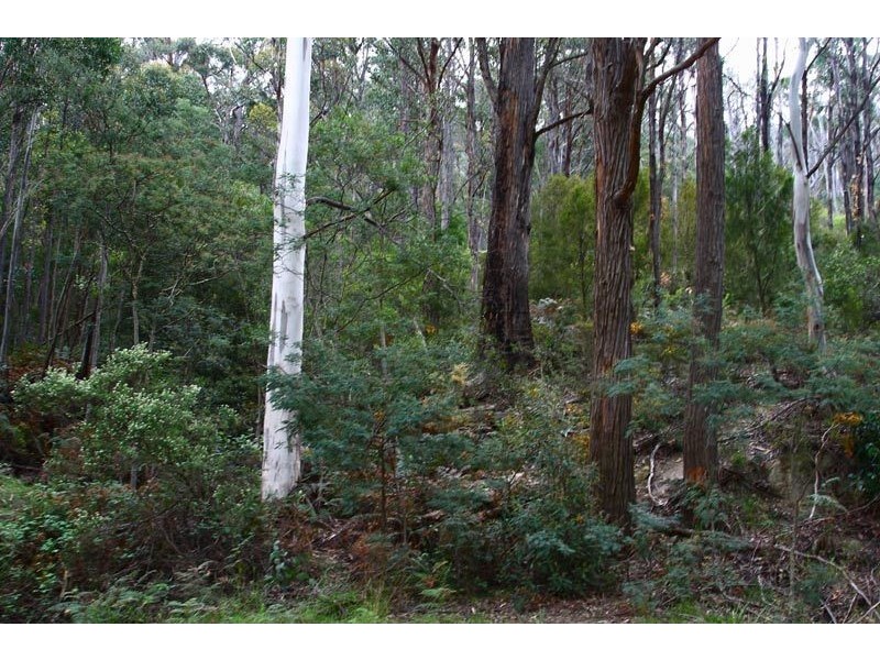 Lot 8 Lonnavale Road, Lonnavale TAS 7109